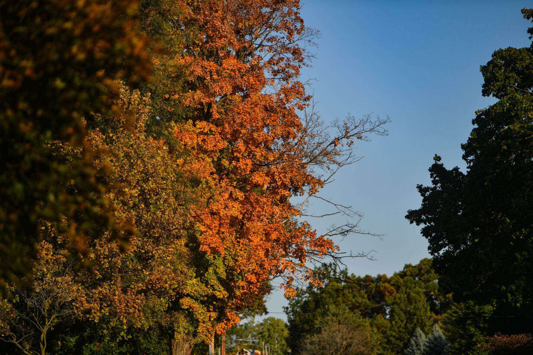 100820-qc-nws-fallcolor-013